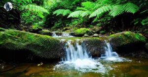 100+ Powerful Quotes About Water to Inspire Peace and Clarity