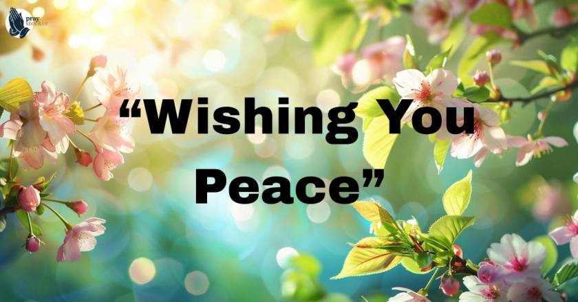 Creative Ways to Say “Wishing You Peace”