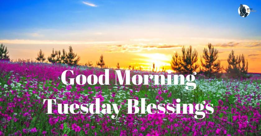 Happy Good Morning Tuesday Blessings