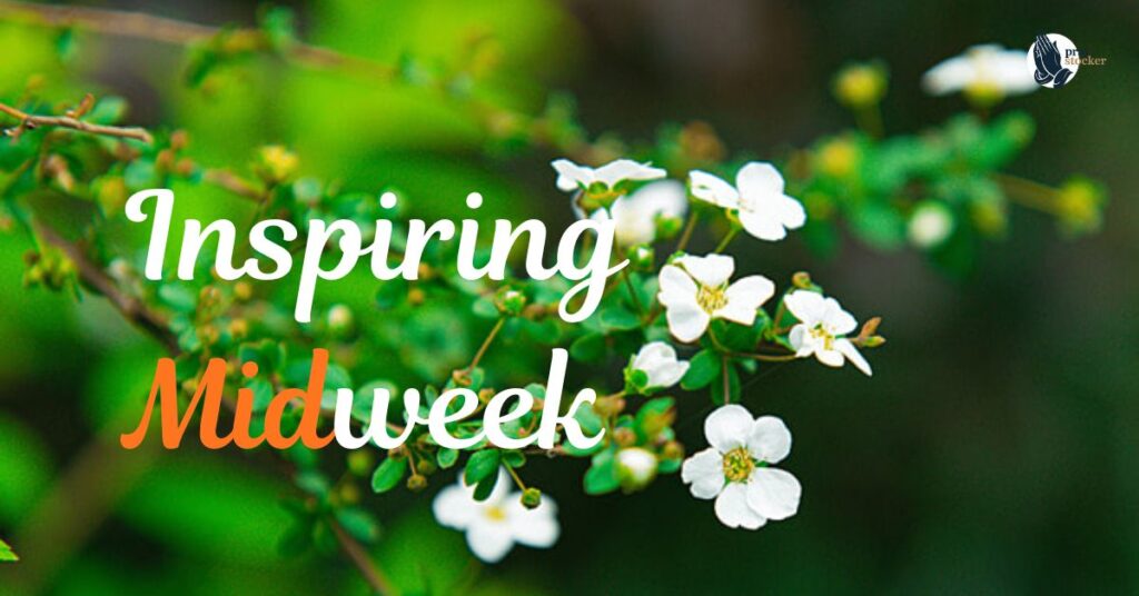 Inspiring Midweek Quotes And Status