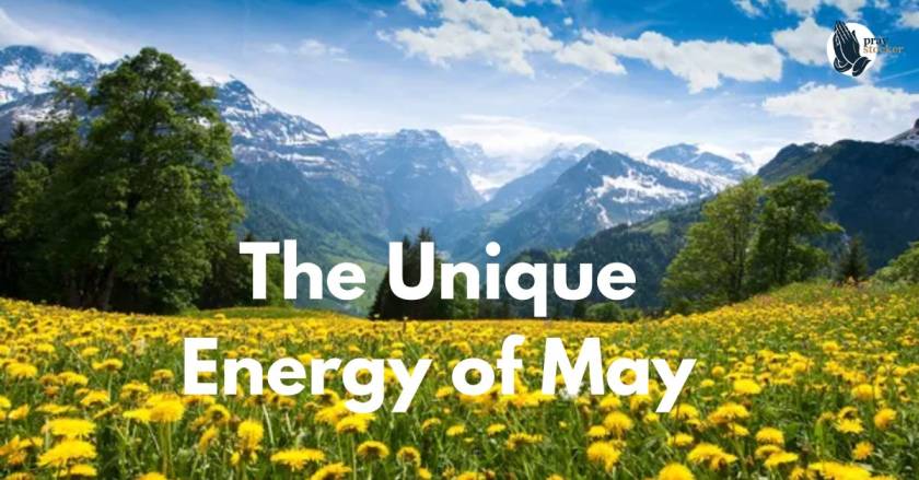 The Unique Energy of May: A Season of Renewal and Quiet Growth