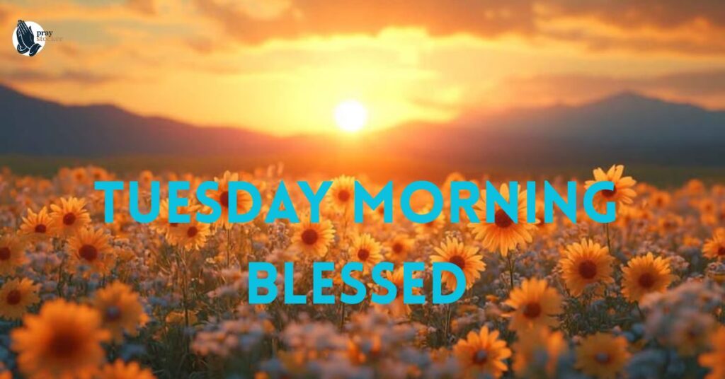 Tuesday Morning Blessed