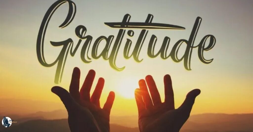 17. A Prayer for My Son’s Gratitude