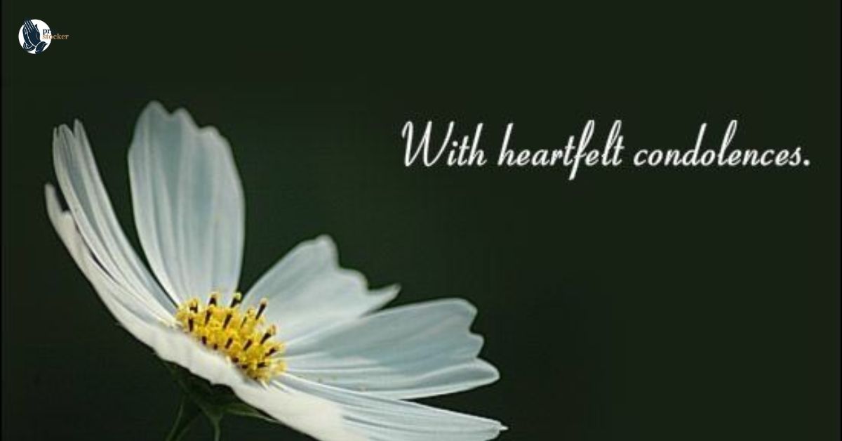 200 Heartfelt Condolence  Messages to Offer Sympathy and Support