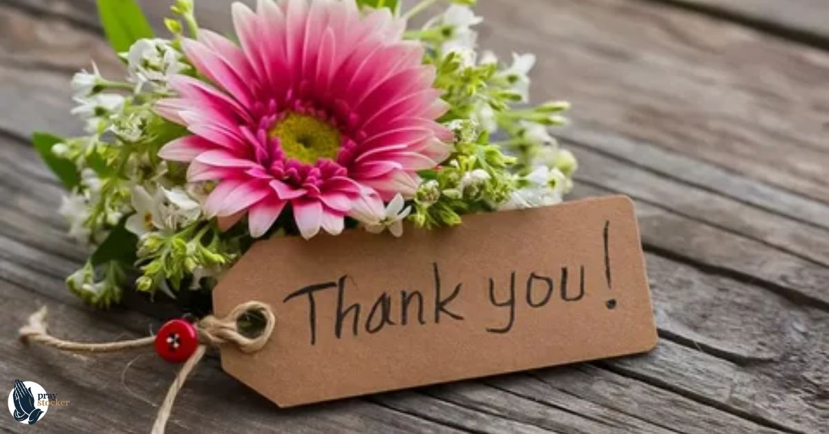50 Best Thank You Message Examples for Every Occasion