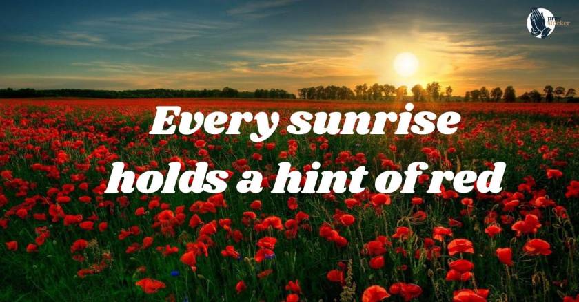 50+ Powerful Quotes About the Colour Red to Ignite Passion and Energy